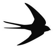 Hirondelle